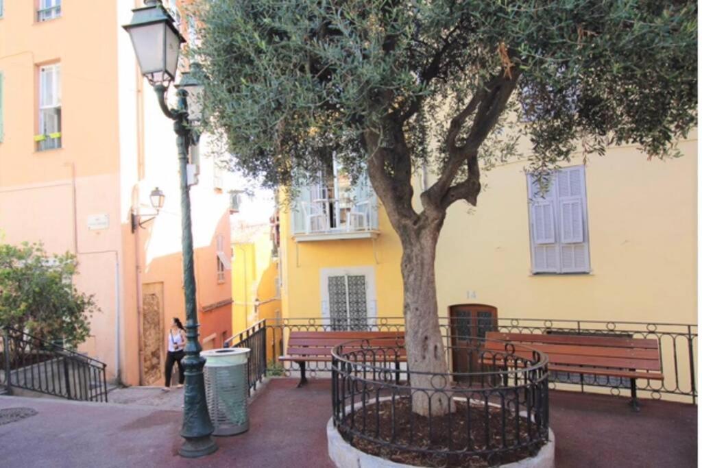Charming Apartment Near The Beach Villefranche-sur-Mer Ngoại thất bức ảnh